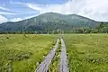 Boardwalk of Ozegahara. Mount Shibutsu in the background.