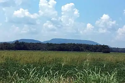 Mount Nebo rises from the plains of Ecoregion 37d