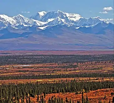 Mt. Shand from Denali Highway