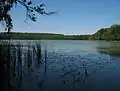 Lake "Mühlenbecker See"