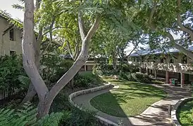 Bower Court in the Social Sciences building