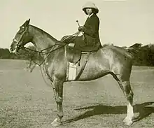 A young white woman on a horse, viewed from the horse's side