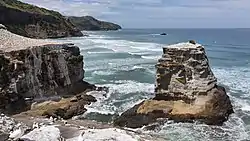 Muriwai Beach