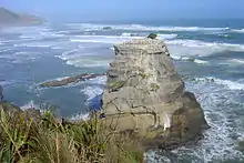 Wild coast and gannet colony - Motutara Island