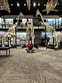 Museum employee in front of skeletons