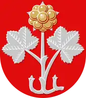 Coat of arms of Muurame