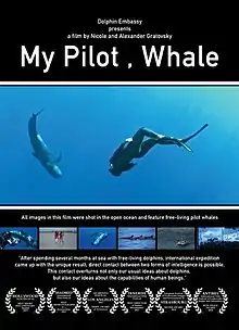 Poster reading "My Pilot, Whale"