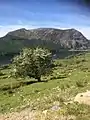 Mynydd Mawr frm Cwellyn