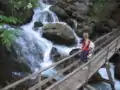 Walkway at the Myra Falls