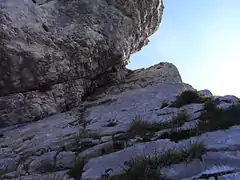 Rocky hillside in low angle.