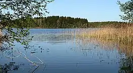 Nõuni Lake