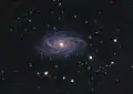 NGC 2336 by the Mount Lemmon Observatory