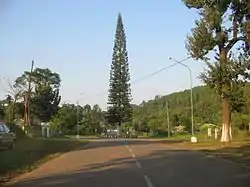 Main Square, Neepco Colony, Umrangso