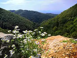 Kozara National Park