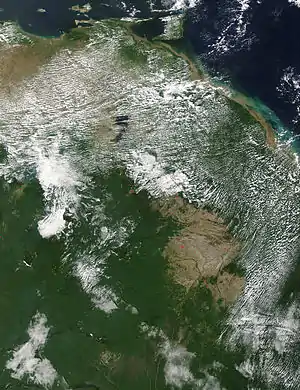 Image 3NASA satellite image of forest burning in Guyana (from Agriculture in Guyana)