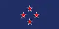 "New Southern Cross" by Wayne William Doyle (2015)
