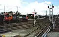 V/Line locomotive N474 at Seymour, 1989