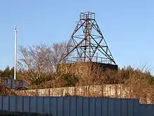 A tower constructed from metal scaffolding, surrounded by brush and trees.