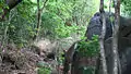 Rocks on Narendra Hill