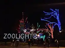 a walkway at night with trees colorfully lit