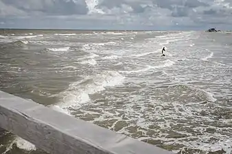 Wadden Sea