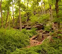 Inwood Hill Park contains the last remnant of the primeval forest which once covered Manhattan; these caves were used by native Lenape people.