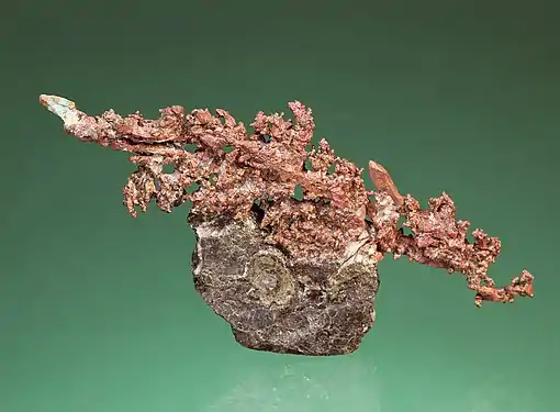 Native copper crystals on basalt, from Cape d'Or.