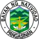 Official seal of Natividad