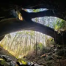 Image 24The Natural Bridge Rock in Winston County is the longest natural bridge east of the Rockies. (from Alabama)