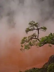 Natural iron hot spring, Beppu, Japan