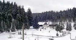 Natzschung valley in winter