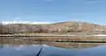 Nautilus Pond with mallard ducks in the spring.