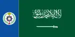 Naval Ensign of Saudi Arabia. (Ratio: 12:25)