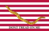 The First Navy Jack