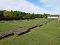 The nave of the church at the medieval Lesnes Abbey, with the woods south of it