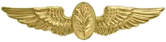 Navy Flight Nurse insignia