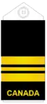 Uniform shirts (old insignia)