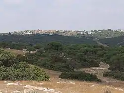 Moshav Nehusha as seen from the hill of Khirbat Umm Burj