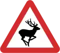 B27: Wild animals ahead