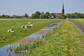 View over the Westbroekpolder near Zoeterwoude-Zuidbuurt