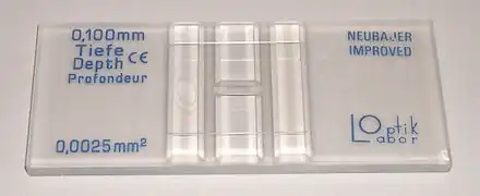 A Neubauer slide for cell counting.