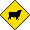 (W18-3.2) Watch for animals (sheep)