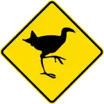 (W18-3.6) Watch for animals (pūkeko)