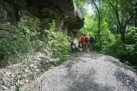 Niagara Gorge trail near the Lewiston-Queenston Bridge.