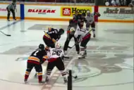 several people playing ice hockey