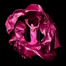 alternative LP cover for Pink Friday 2