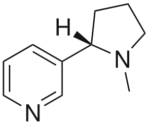 An image of the nicotine molecule.