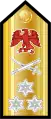 Vice admiral(Nigerian Navy)