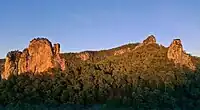 Nimbin Rocks, NSW. Close-up in the morning sun
