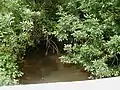 Nine Mile Run crossing Claremont Road